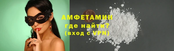 дмт Ельня