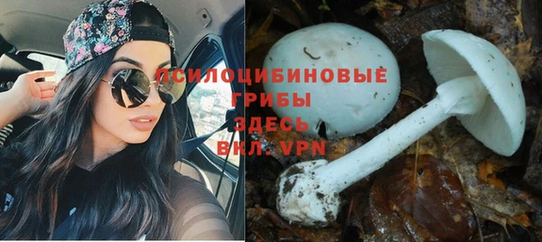 спайс Армянск